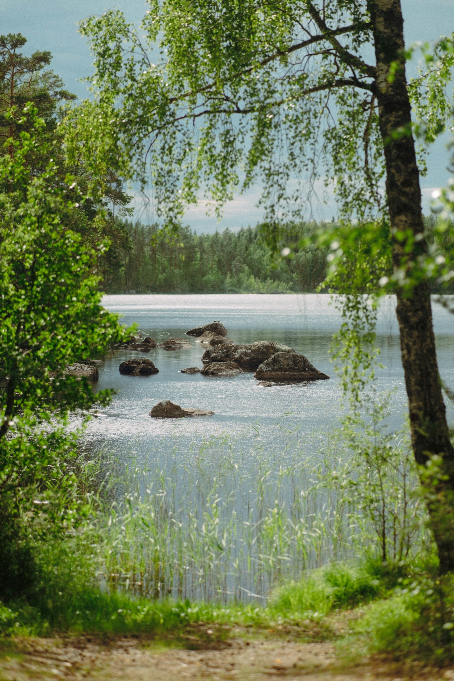 Bondstorps natur: Skogar och vattendrag